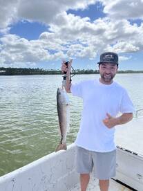 Great Trip will do it again