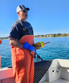 Lobster!... Not a fishing trip