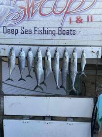 give him a call. you wont be dissapointed