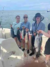 Best Experience Fish