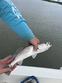 Beautiful afternoon on the water. 