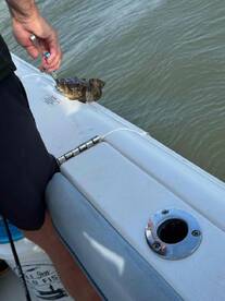 Rain or Shine, Captain Eaves Delivers a GREAT Day!