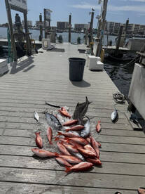 \u2b50\ufe0f\u2b50\ufe0f\u2b50\ufe0f\u2b50\ufe0f\u2b50\ufe0f Fantastic Fishing Trip with The Great Escape!