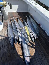 Awesome fishing trip