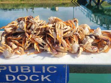 October fishing trip