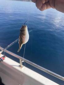 beautiful trip, great crew