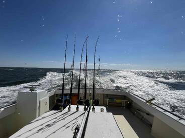 Top notch! Captain and Mate set the the standard