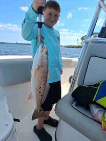 highly highly recommend