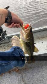 October fishing trip