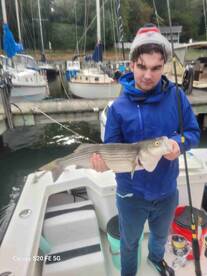 Knowledgeable Captain 