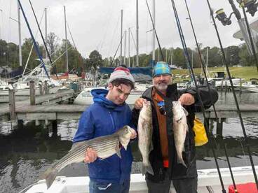 Knowledgeable Captain 