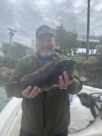 Knowledgeable and adaptive to the conditions!