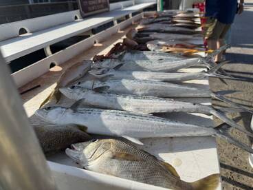 Key West, October 11, 2025