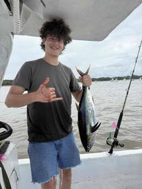 Yellowfin Tuna Paradise