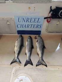 Fantastic day with Captain Alonso 