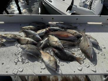 Great day on the water! 