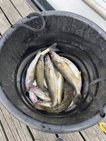 Great fishing experience!