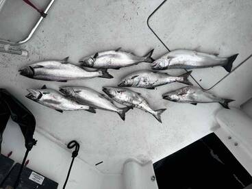 Outstanding Fishing with Captain Kris