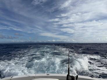 Expensive boat ride but beautiful views