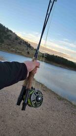 Trout fishing near the beautiful Rockies