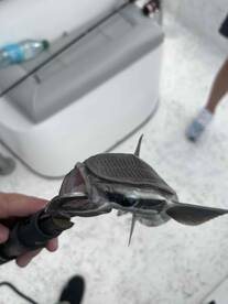 October fishing trip