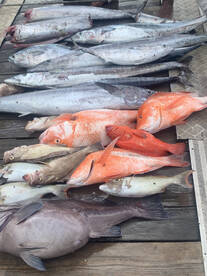 Amazing Fishing Trip!