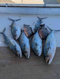 A great day of fishing