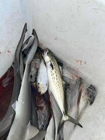 October fishing trip