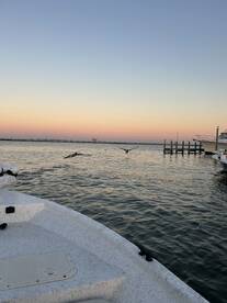 “Fish on” “shark on” just chill!!!