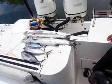 Great experience with tween son!