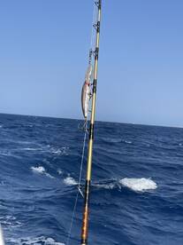 Sch\u00f6ner Fishing Trip