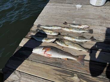 BEST fushing caprain ever!!