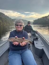 Many Fish, Beautiful Fish 