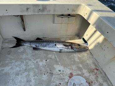 good fisherman. Solid experience. 