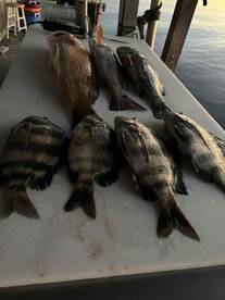 Fun evening on the water