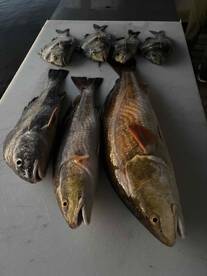 Fun evening on the water