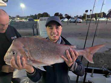 \u2b50\ufe0f\u2b50\ufe0f\u2b50\ufe0f\u2b50\ufe0f\u2b50\ufe0f Highly Recommended!