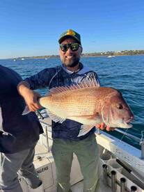 \u2b50\ufe0f\u2b50\ufe0f\u2b50\ufe0f\u2b50\ufe0f\u2b50\ufe0f Highly Recommended!