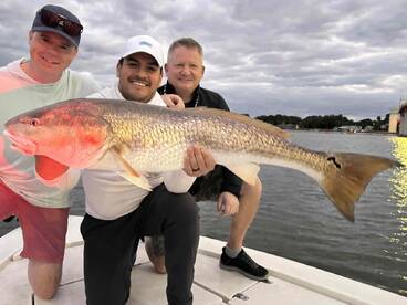 Best captain out there