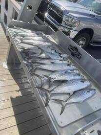 Great overall trip, knowledgeable and friendly captain  