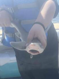 Had a nice late season trip today with my son and i. 