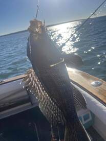 Had a nice late season trip today with my son and i. 