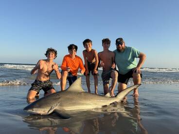 Nice bull shark!