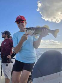 Perfect Day on Toho!