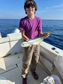 Mahi Mahi x 12