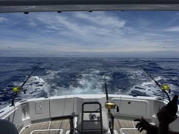 Brilliant boat & crew