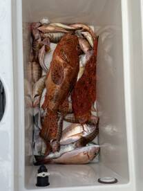 Excellent family trip