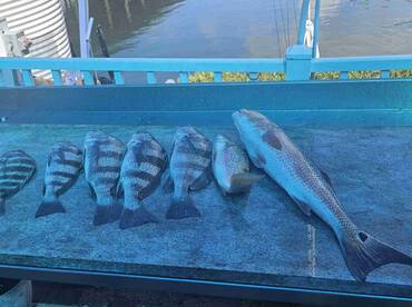 Outstanding Day of Fishing 