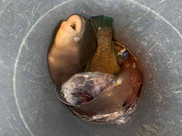 Great Experience!  Do it!