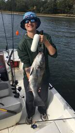 Insane Bite with Captain Kieth